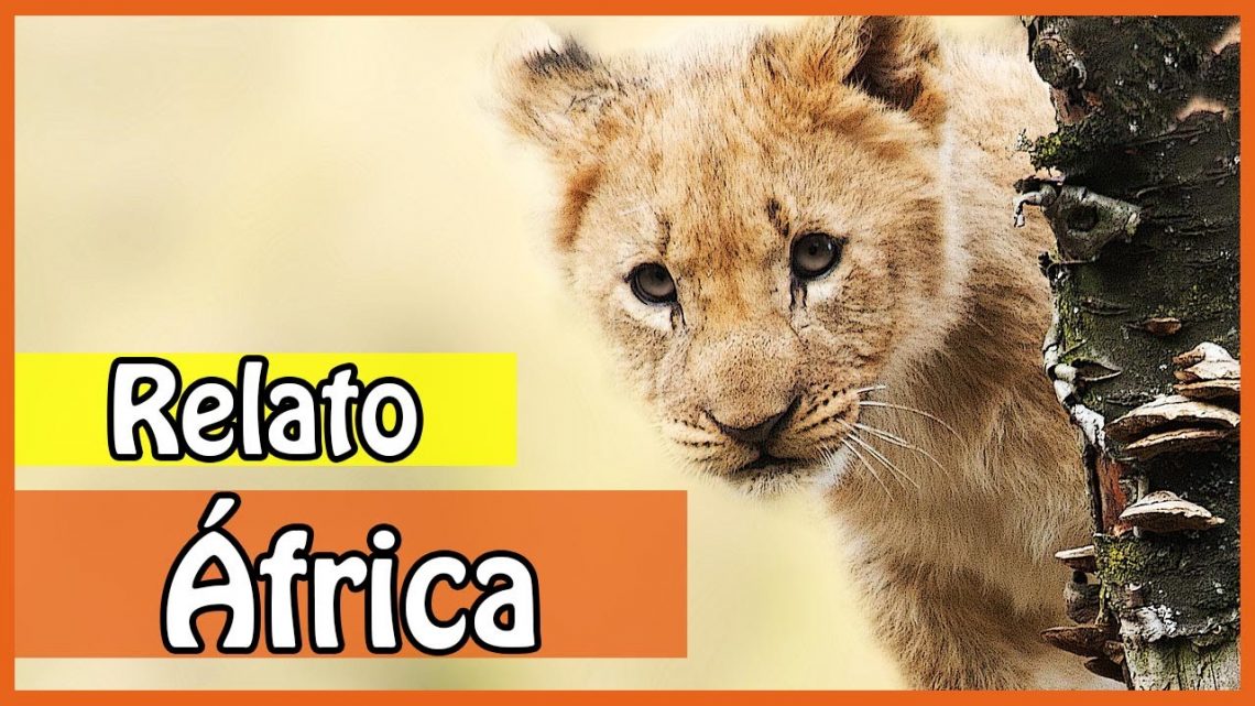 ÁFRICA: Relato de Viagem pela África – Mulher viajando sozinha… | Rachel Travel Tips