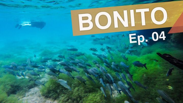 Bonito – Brasil :: Ep. 04 :: Nascente Azul – Gruta de São Miguel – Trilha Boiadeira :: 3em3