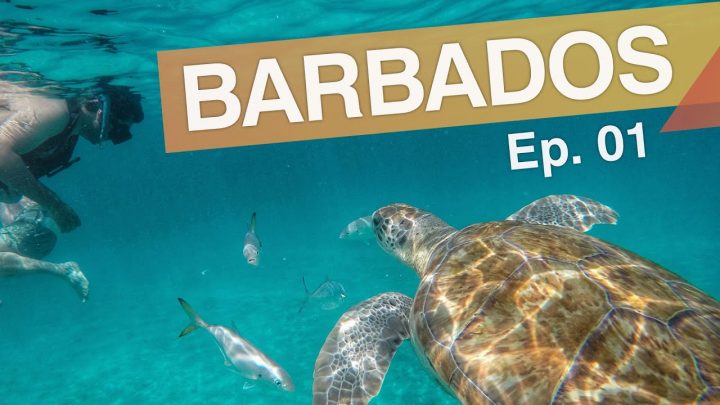 Bridgetown – Barbados :: Ep.01 :: 3 passeios imperdíveis em Barbados :: 3em3