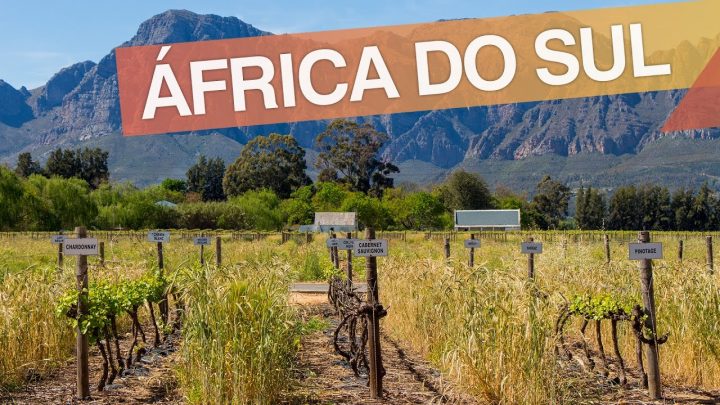 Cape Town – África do Sul :: Como é fazer a Rota dos Vinhos :: 3em3