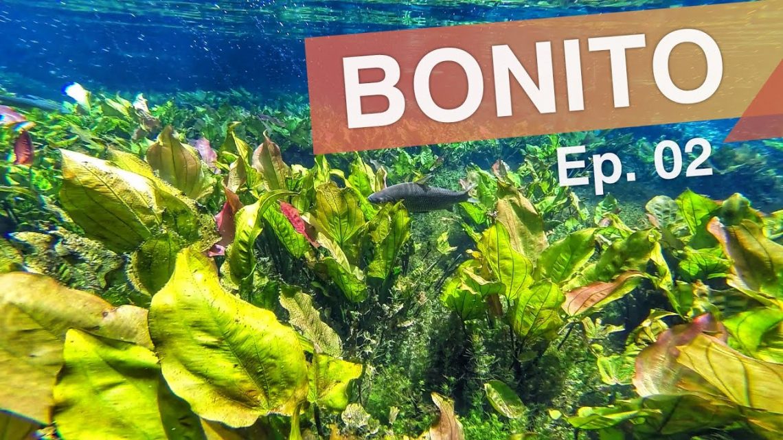 Bonito – Brasil :: Ep. 02 :: Boca da Onça – Aquário Natural – Gruta de São Mateus :: 3em3