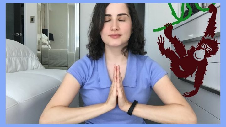 POR QUE MEDITAR? | Meditação para iniciantes 🐒