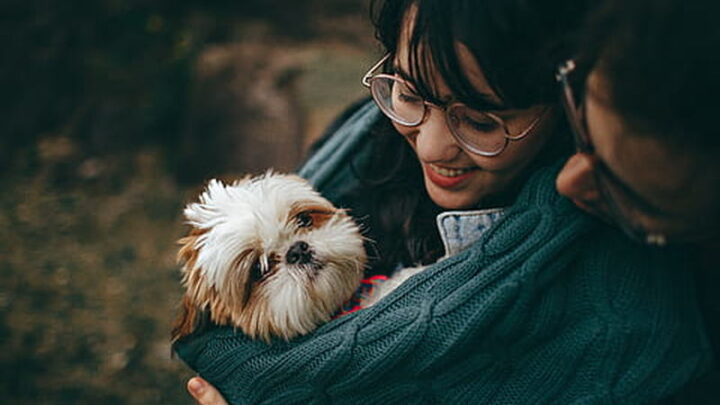 Tudo que você precisa saber antes de adotar um cãozinho