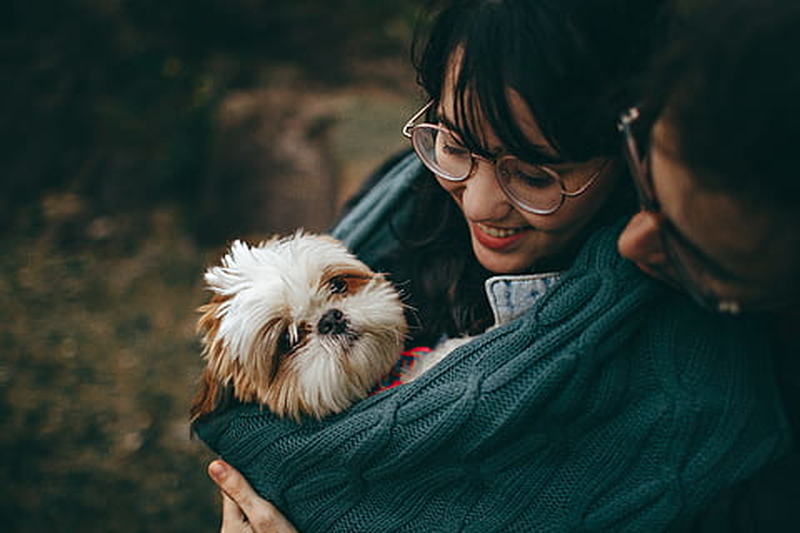 Tudo que você precisa saber antes de adotar um cãozinho Tudo que você precisa saber antes de adotar um cãozinho