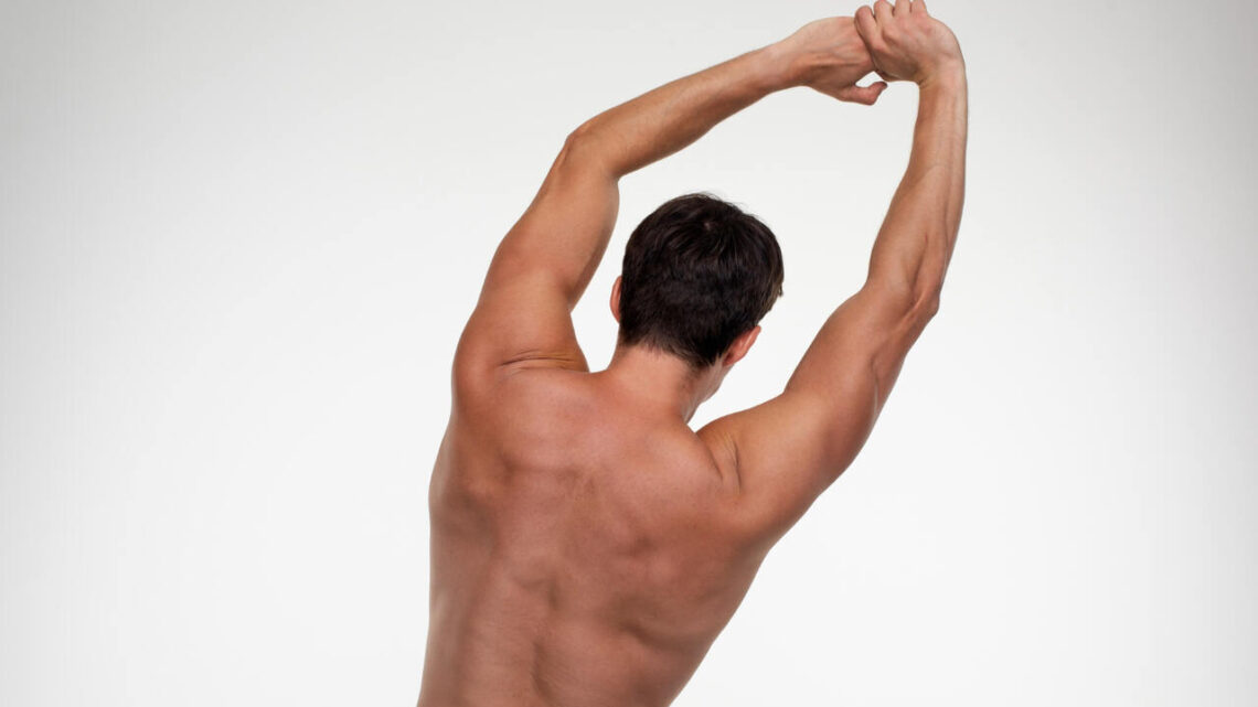 Cuidados e Resultados da Depilação a Laser nas Costas Masculinas Cuidados e Resultados da Depilação a Laser nas Costas Masculinas